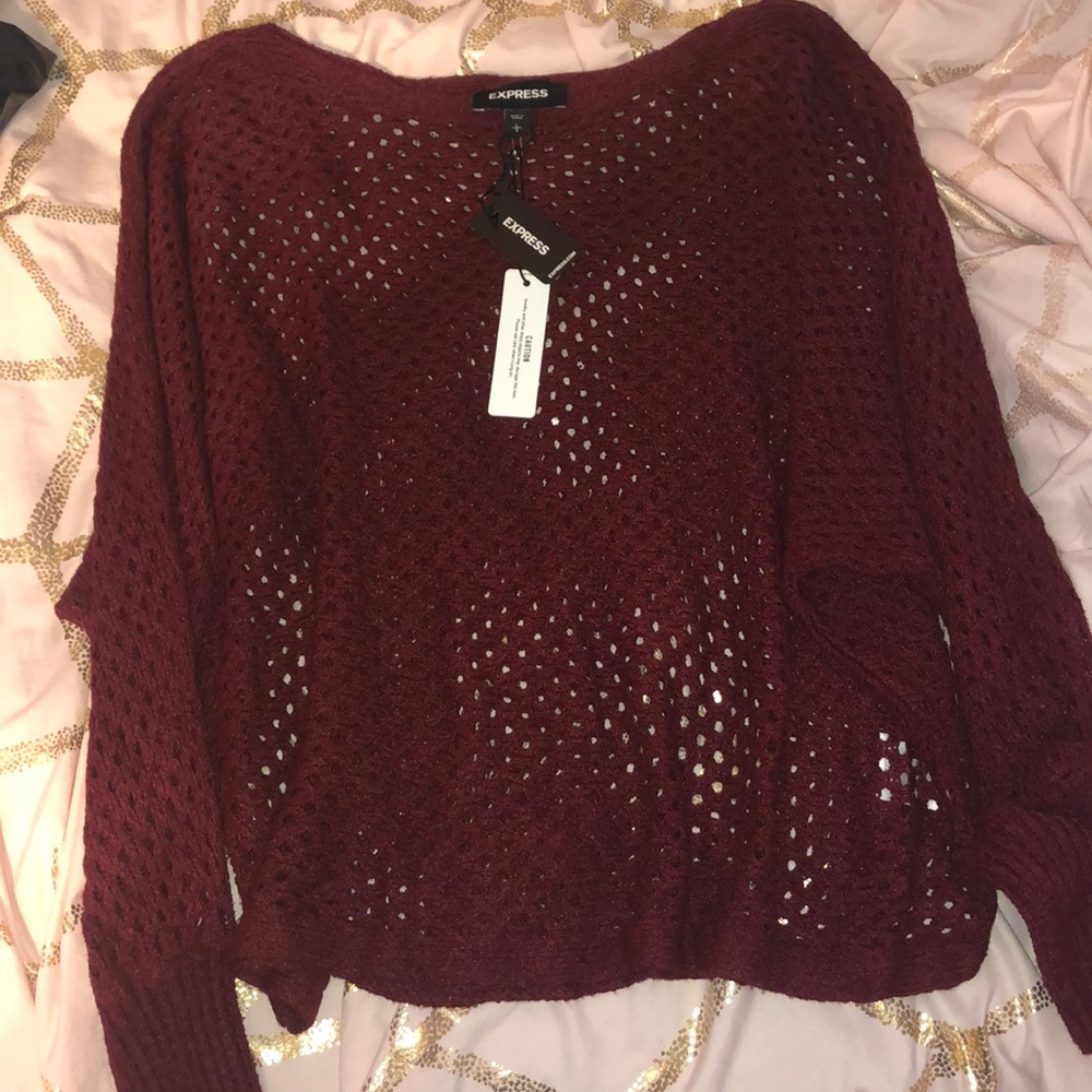 NWT Express light see through sweater